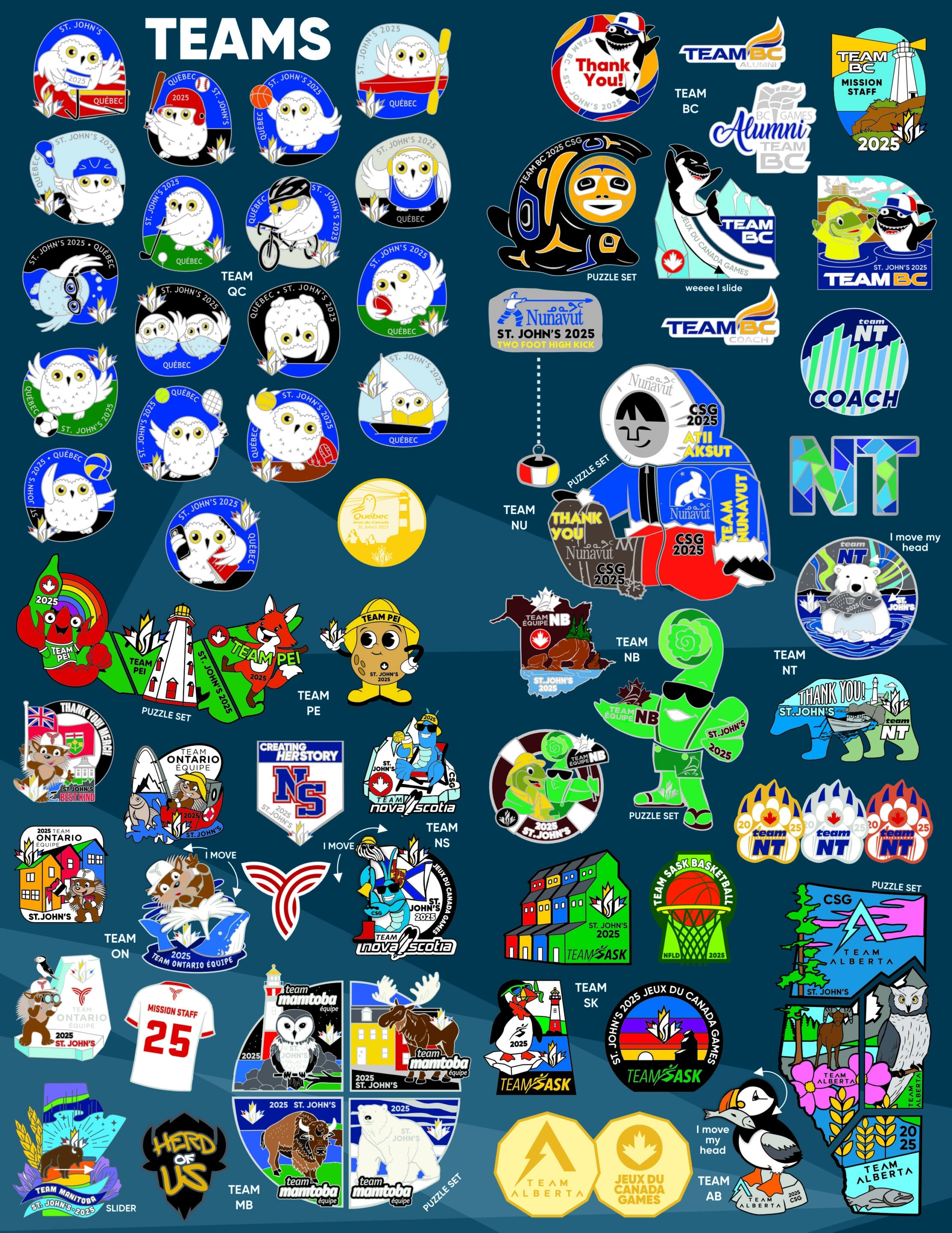 Pin Guide Digital P4